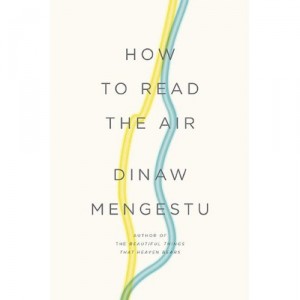 Book Review: How to Read the Air Book Review: How to Read the Air